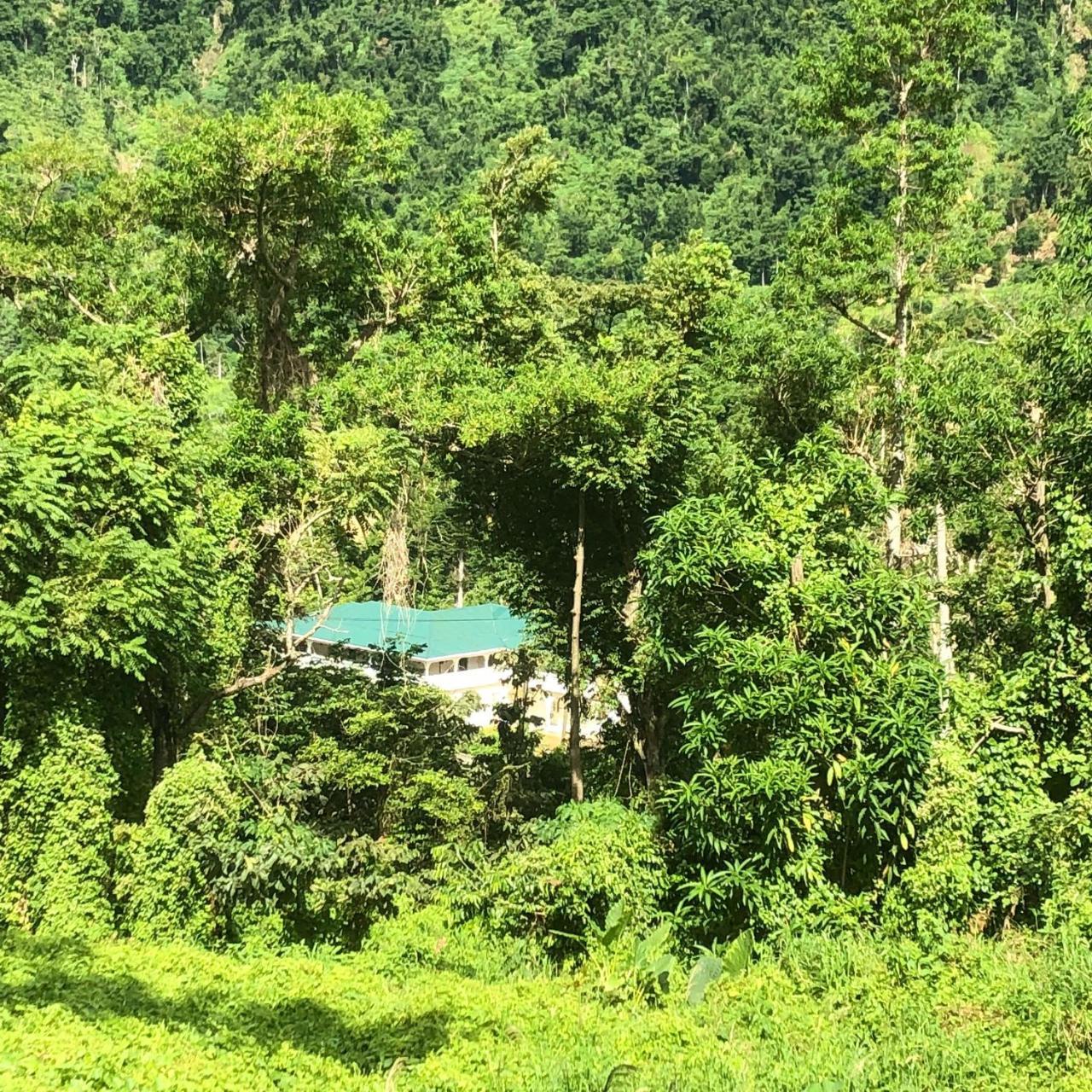 Soufriere Guesthouse Экстерьер фото